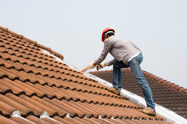 Best Emergency Roof Repair Services  in Tanaina, AK