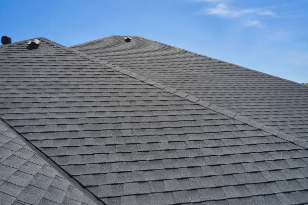 Best Metal Roofing Installation  in Tanaina, AK